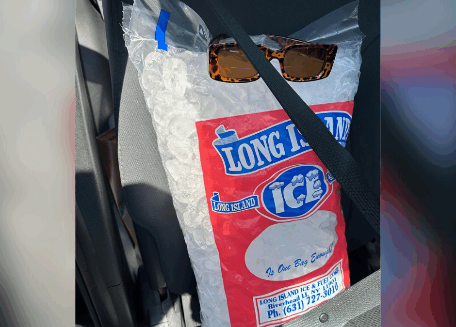 Bag of Long Island Ice and Fuel Ice Wearing Sunglasses