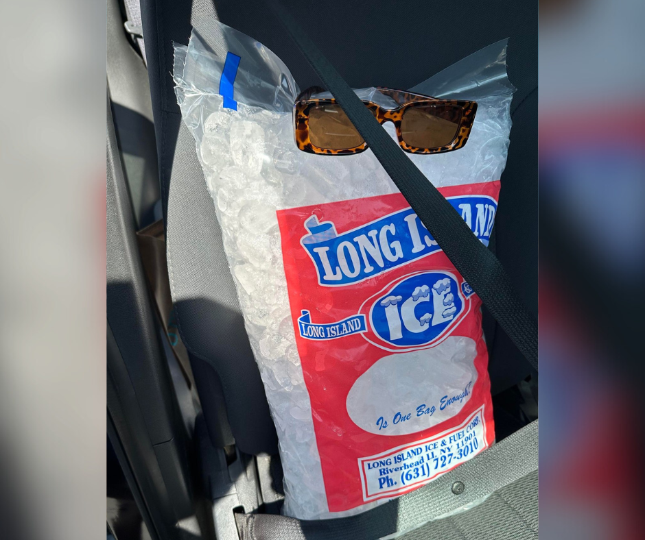Bag of Long Island Ice and Fuel Ice Wearing Sunglasses